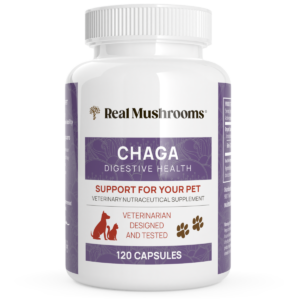 Real Mushrooms Organic Chaga Extract Capsules for Pets