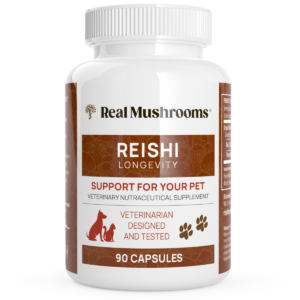 Organic Reishi Mushroom Capsules for Pets